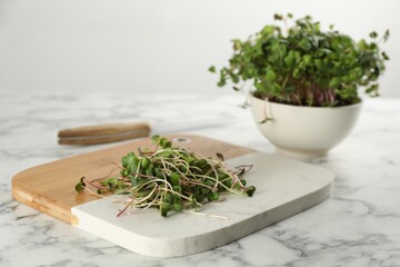 Board with fresh radish microgreens on white marble table