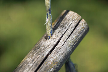 wooden swing, macro