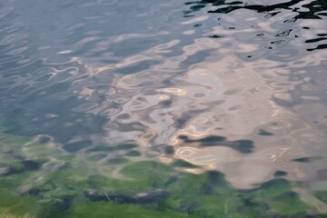 Blick in den Neuenburger See, Westschweiz