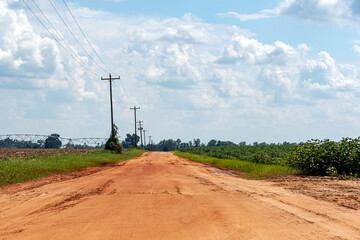Dirt road in southern Georgia - Powered by Adobe