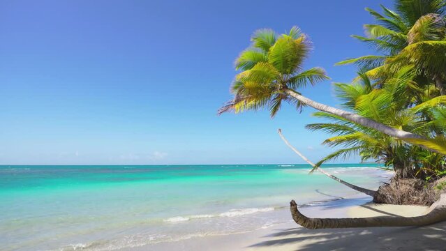 Bright turquoise ocean off the coast of a green island with a palm beach. Palm trees on white sand. Travel to tropical paradise. Camera without movement.
