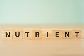 栄養素のイメージ｜「NUTRIENT」と書かれたブロック
