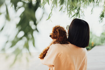 Young brunette woman holding on hands and hugging her little redhead dog breed toy poodle