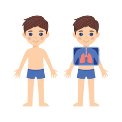 Cute Brunette Boy and Human Respiratory system. Little Child with an X-ray Screen. Human Lungs. Checking the Health of a Young Patient. Cartoon style. White background. Vector image for Anatomy Lesson