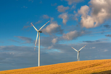 Wind turbines on the meadow over the blue sky