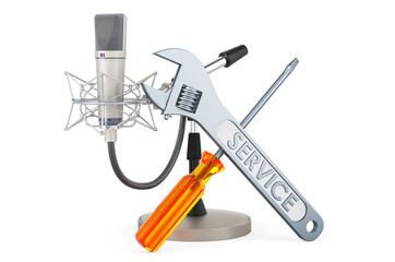 Repair and service of studio microphone, 3D rendering
