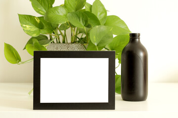 old wooden black horizontal blank frame with black glass bottle and home plant on white table