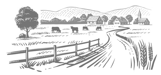 Cows grazing on meadow. Hand drawn sketch livestock with grass and plants
