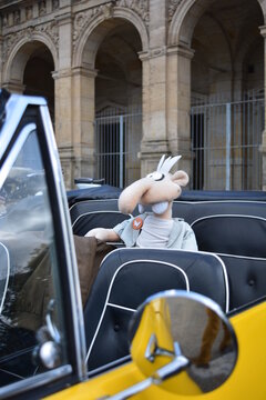 Werner Maskottchen, Stofftier sitzt als Beifahrer hinten auf der R&uuml;ckbank eines Ford Mustang beim Oldtimer-Treffen in Coburg, Franken, Bayern, Deuschland, 10.05.2015