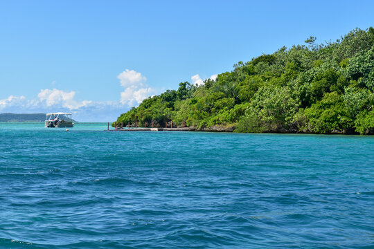 tropical island