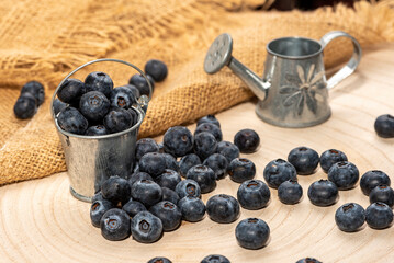 Freshly picked blueberries in wooden bowl. Bilberry on wooden Background. Blueberry antioxidant. Concept for healthy eating and nutrition