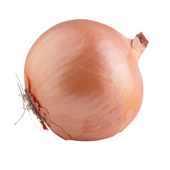 Fresh onion bulbs isolated on alpha background.