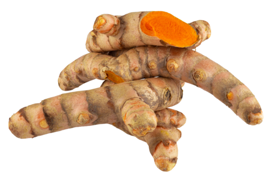 Turmeric Herb Contains Bioactive Compounds isolated over alpha background.
