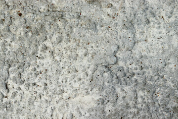 The texture of the concrete floor. Gray concrete wall. Good quality