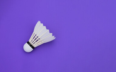 Isolated pink cosmos flower with clipping paths.