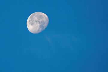 Naklejka na ściany i meble waning moon on day on a blue clear sky