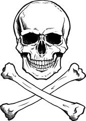 Human skull and crossbones black and white.  Transparent background.