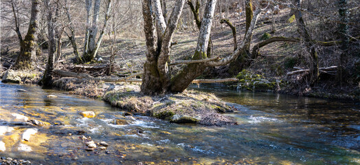 Igneada floodplain forest landscape, Kirklareli, Turkey