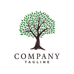 Fototapeta premium tree logo vector illustration