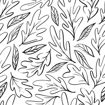 Hand drawn oak leaf seamless pattern. Vector background with autumn leaves in simple brush style. Outlined black leaves pattern. Black contour on white background. Perfect for wallpaper, gift paper