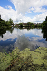 篠山城西堀　水面に映った雲　8月