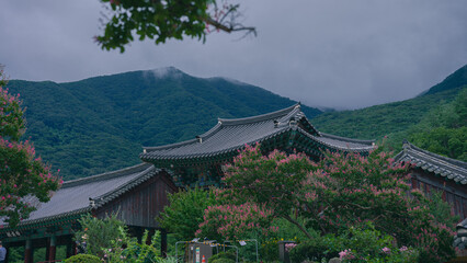 temple in nature (자연속의 사찰)