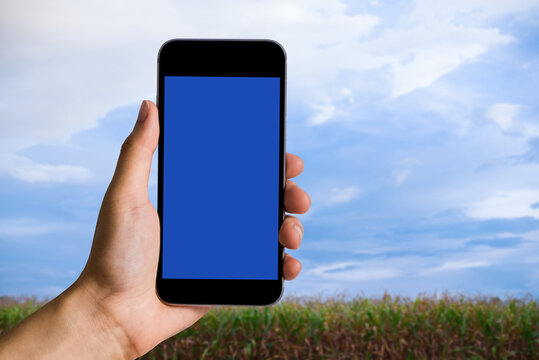 Mockup image of hand holding azure mobile phone with blank white screen in field, panorama with copy space.