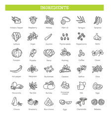 Vegetables and fruit vector flat collection