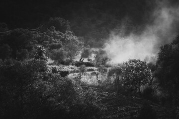 Obraz premium field workers and back view between mountains