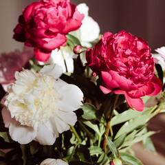 Close-up of ornate bouquet of various peonies on blurred grey background. Place for your text.