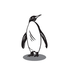 cute penguin logo, silhouette of ice animal standing, vector illustrations