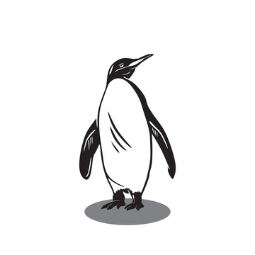 recommend clip art: cute penguin logo, silhouette of ice animal standing, vector illustrations