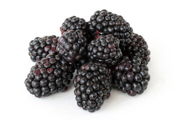 Thornless blackberry on a white isolated background