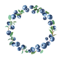 Blueberries in water drops arranged in a circle with green leaves