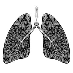 Lungs, vector image, respiratory organ, contour image of the lungs