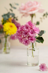 Pink hydrangea flowers in a vase. Colorful summer flower bouquet, greeting card.