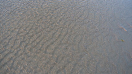 Sunset at the Beach, De Panne