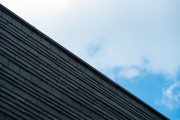 Fototapeta na wymiar Modern building exterior and roof 