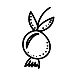 berry doodle sketch on white background isolated, vector