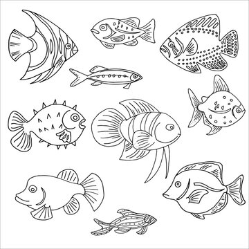  set marine tropical fish , coloring page, aquarium fish blue background, ocean depth, diving vacation, beach vacation