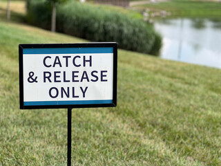 Catch & Release Sign by the side of a lake. - 524280639