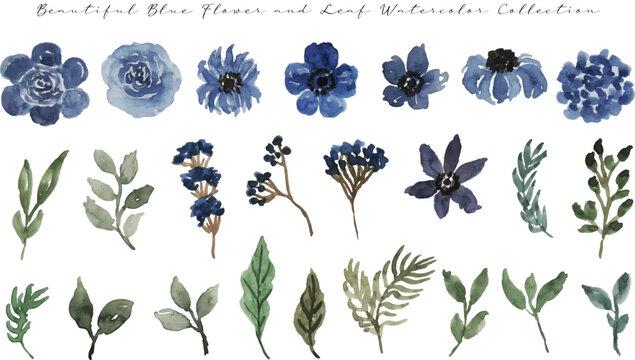 set of elegant blue flower watercolor