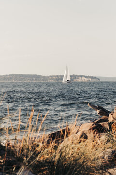 sailboat on the sea
