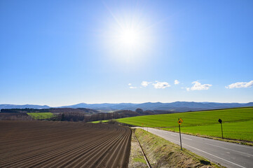 北海道　美瑛の風景