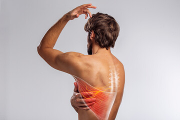 Obraz premium Back pain, male body spinal nerve anatomy, torso back view 