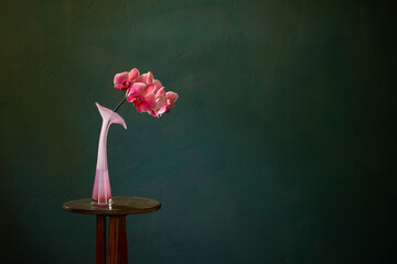 pink orchid in glass vase on dark background