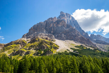 Fototapeta na wymiar Mountain view at Passo Rolle, San Martino di Castrozza, Trentino Alto Adige - Italy