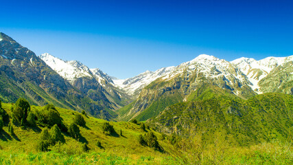 Fototapeta na wymiar Beautiful nature of the rocky mountains of Switzerland. Snowy peaks, green landscape of nature. Coniferous trees among the rocks on a blue background.