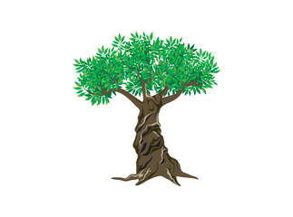 olive tree logo hand drawing vector isolated