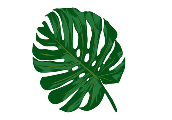 green leaf vector